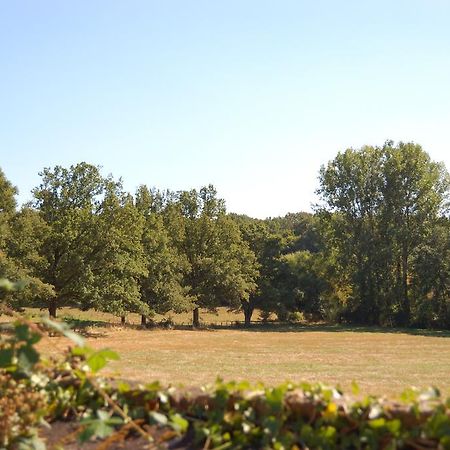 Gite Du Vieux Charme Villa Saint-Amand-en-Puisaye Buitenkant foto