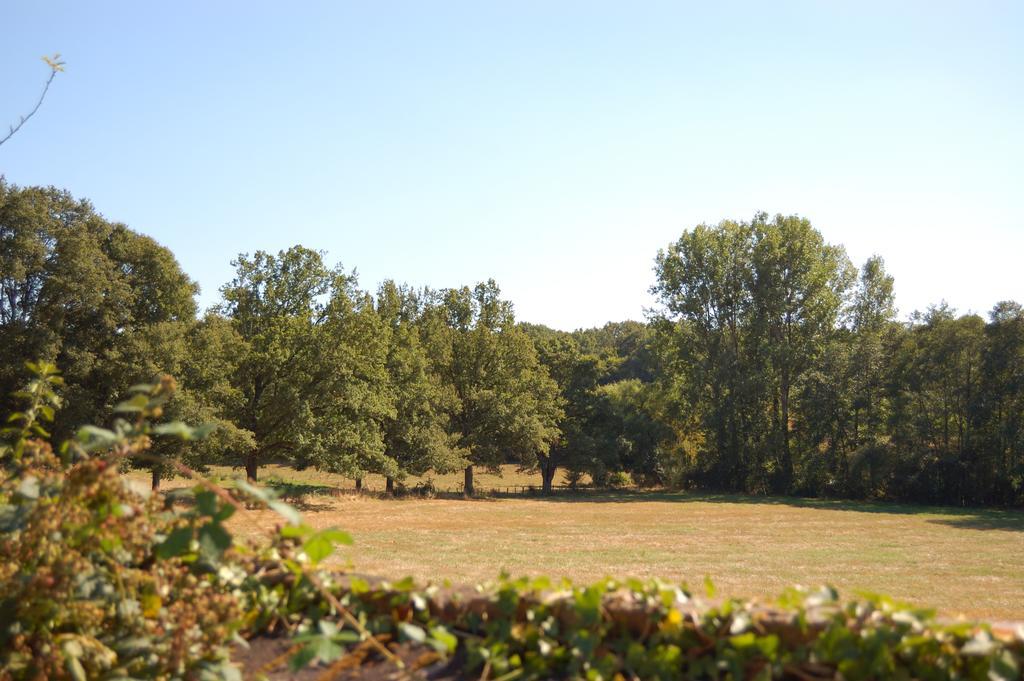 Gite Du Vieux Charme Villa Saint-Amand-en-Puisaye Buitenkant foto